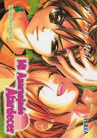 MI ANARANJADO ATARDECER  04 | 9788492725526 | Kyoko Kumagai